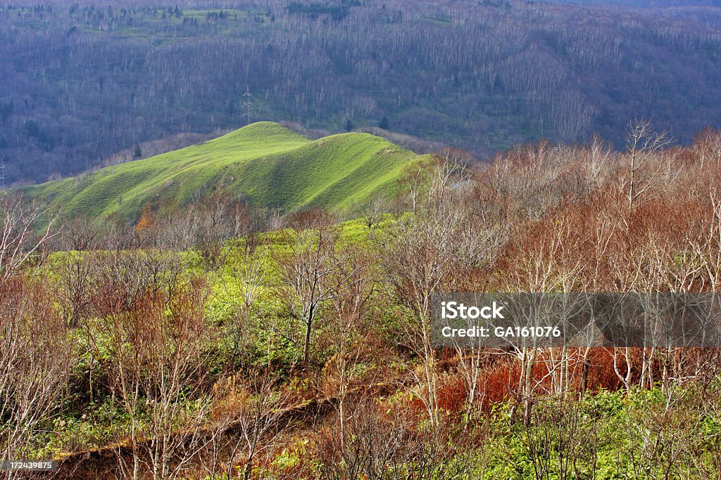 Bellissimo paesaggio di montagna - Foto stock royalty-free di Albero