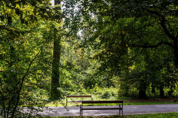 istock Maksimir Park, Zagreb 1724399606