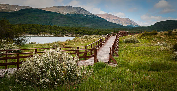 Lapataia Bay "National Park of Tierra del Fuego in Patagonia, Argentine." tierra del fuego national territory stock pictures, royalty-free photos & images