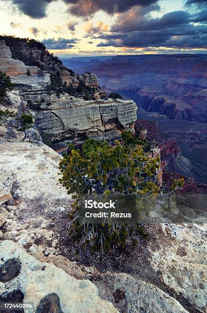 Foto de Crepúsculo Paisagem Do Grand Canyon No Arizona Eua e mais fotos de stock de Arbusto