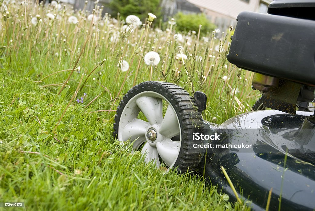 Segar la hierba. - Foto de stock de Actividad libre de derechos