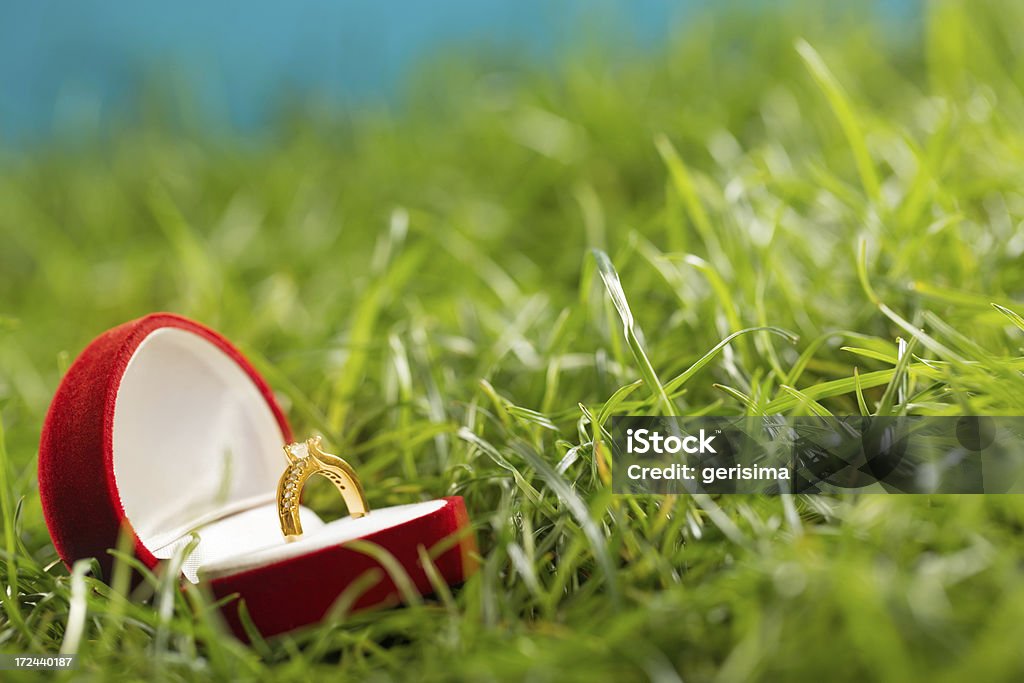 Brillante Anillos de boda en una caja de regalo en hierba - Foto de stock de Amor - Sentimiento libre de derechos