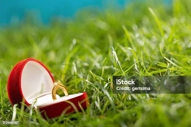 Splendente Fedi Nuziali In Scatola Regalo Su Erba - Fotografie stock e altre immagini di Ambiente - Ambiente, Amore, Anello - Gioiello