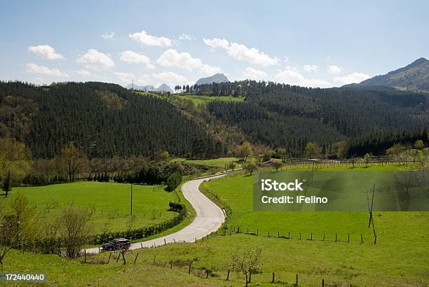 Ruta De Montaña Foto de stock y más banco de imágenes de Aire libre - Aire libre, Arbolado, Boscaje