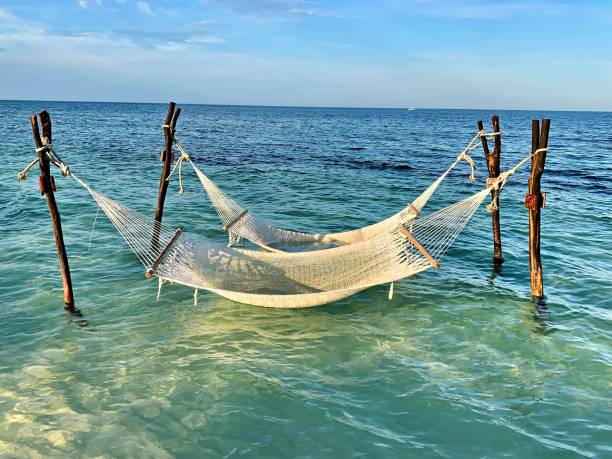 istock Hammocks in the Caribbean Sea 1724406656