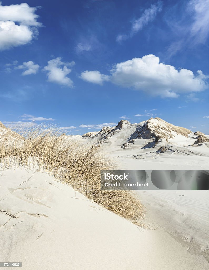 Dune Landschaft in der Nähe des beach - Lizenzfrei Insel Amrum Stock-Foto