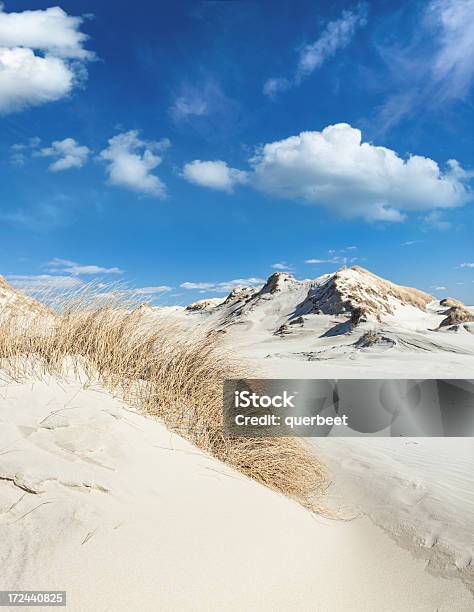 Dune Landschaft In Der Nähe Des Beach Stockfoto und mehr Bilder von Insel Amrum - Insel Amrum, Anhöhe, Deutsche Nordseeregion