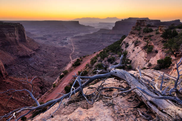 istock Blue twilight landscape in Canyonlands, Utah, USA 172440990