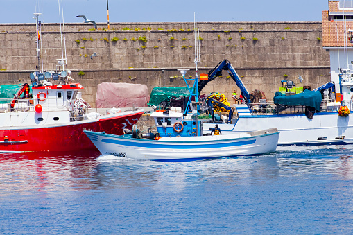 Fishing boats in  harbor.  Fishermen in Malpica, A Coruña province, Rías Altas, Galicia, Spain.