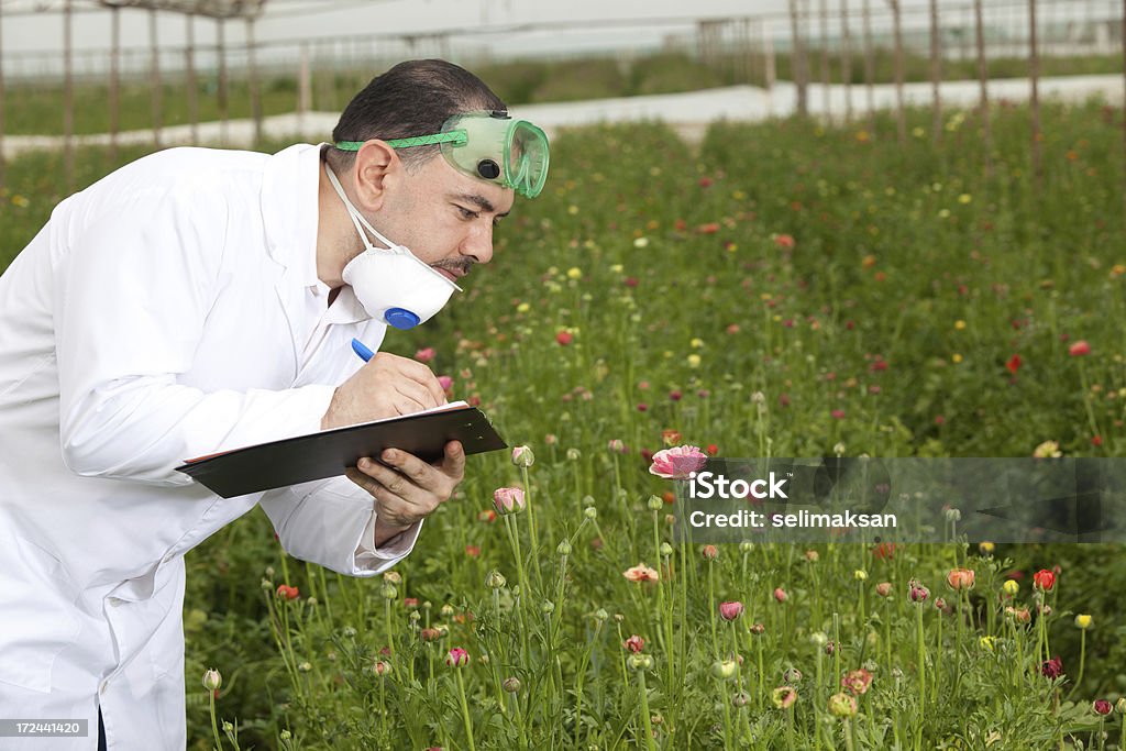 Botânica verificando e gravação de flor de corte em estufa - Foto de stock de Caderno de Anotação royalty-free