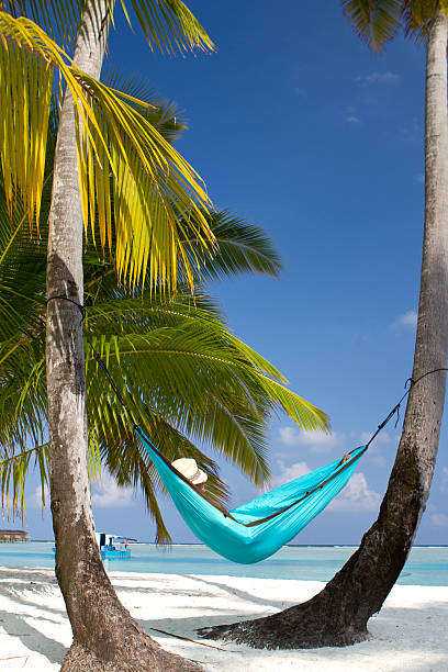 istock Young adult sleeping in a hammock on the beach 172441528