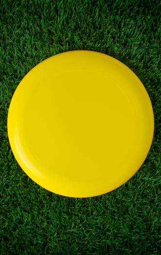 This is an overhead photo of a yellow Frisbee disc in the center of a green grassy field.Click on the links below to view lightboxes.