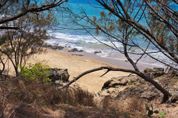 istock Sand and sea through the trees 172441683