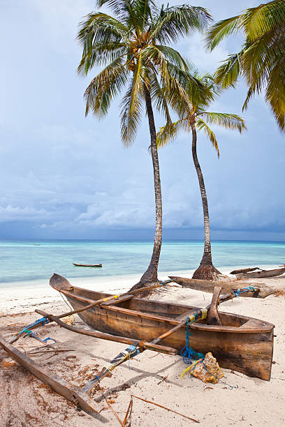 zanzibar - beach sunset sand wood ストックフォトと画像