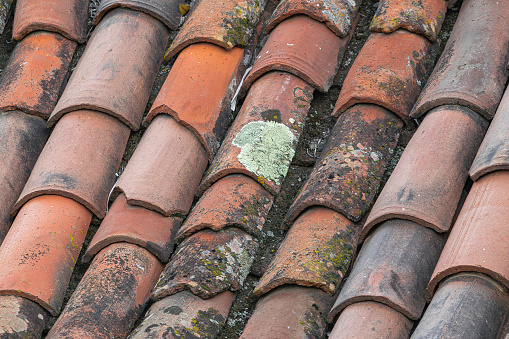 old roof tiles, some damaged and with lichen