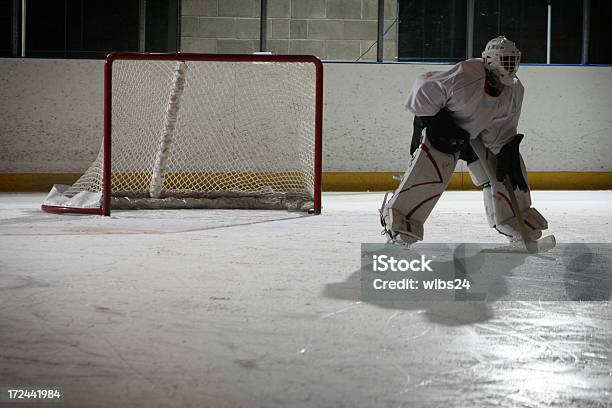 Portero De Hockey Foto de stock y más banco de imágenes de Agacharse - Agacharse, Atleta - Papel social, Atrapar