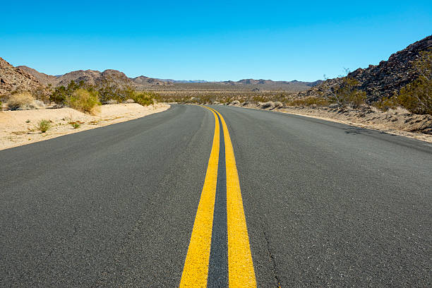 istock Road through Joshua Tree National Park 172442064