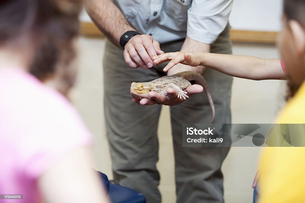 Professor com os alunos mostrando reptile - Foto de stock de Réptil royalty-free