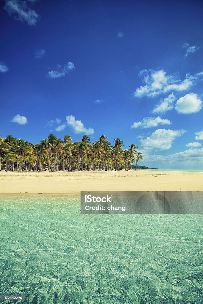 Exuma Beach - Foto de stock de Praia royalty-free