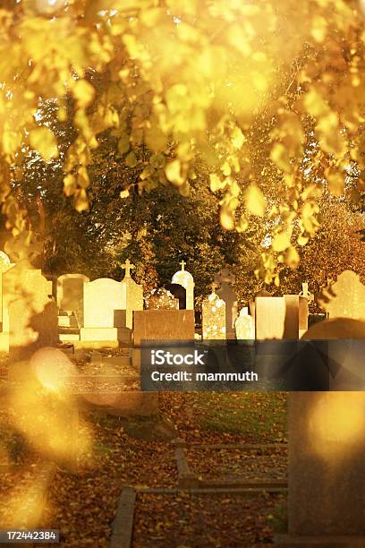 Cimitero Autunno Sole - Fotografie stock e altre immagini di Autunno - Autunno, Cimitero, Composizione verticale