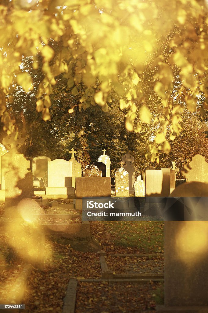 Cmentarz w jesień sunshine - Zbiór zdjęć royalty-free (Cmentarz)