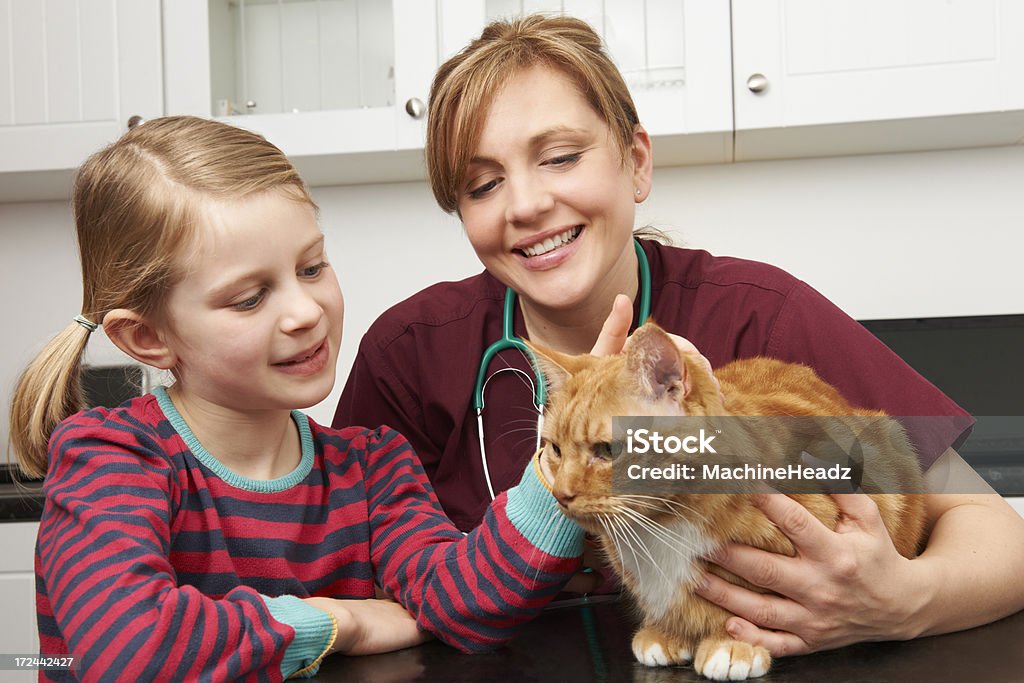 Fille prenant pour vétérinaire pour chats Examin - Photo de Vétérinaire libre de droits