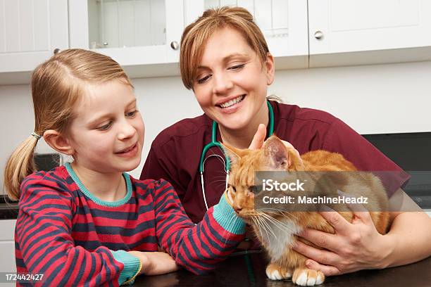 Menina Com Gato No Veterinário Para Examin - Fotografias de stock e mais imagens de Veterinário - Veterinário, Criança, Gato domesticado