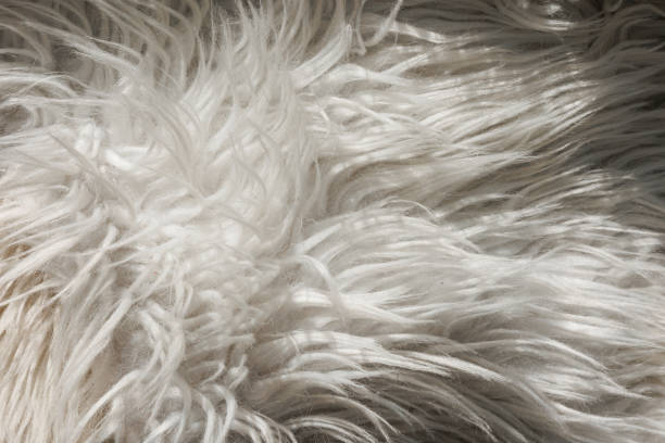 istock Close up artificial fluffy white-grey fabric fur, wool shaggy carpet with long pile. Soft loop pile surface. Hairy carpet detail. Faux fur texture, background. 1724425884