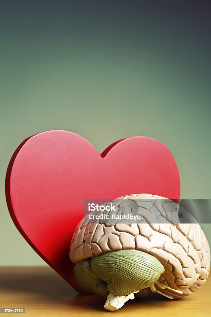 모델 뇌 심장 cut-out - 로열티 프리 정신 건강 스톡 사진