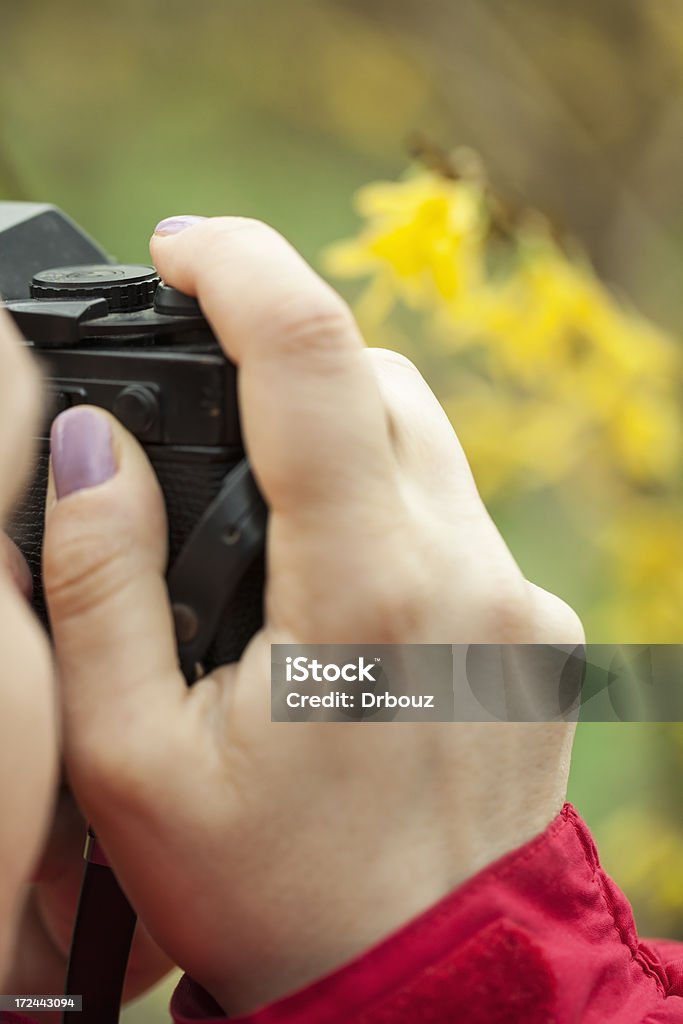 Mulher de Fotógrafo - Royalty-free 30-39 Anos Foto de stock