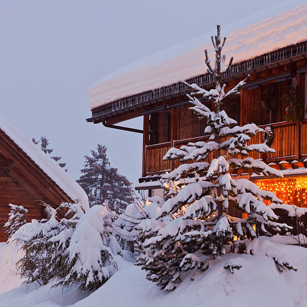 istock Fir Tree in Front of Chalet 172443315