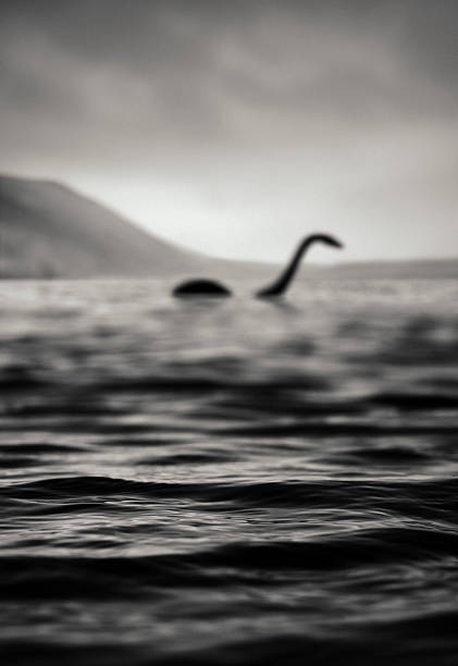 Nessie, Is That You? "The famous Loch Ness monster, or Nessie, as seen from the shore. I'd say this is one of the best photographs of her. Unfortunately the focus of my camera was a bit off when pressing the shutter button. But I guess that's quite a common mishap when suddenly getting a chance to photograph such elusive creature." mythology photos stock pictures, royalty-free photos & images