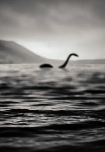 "The famous Loch Ness monster, or Nessie, as seen from the shore. I'd say this is one of the best photographs of her. Unfortunately the focus of my camera was a bit off when pressing the shutter button. But I guess that's quite a common mishap when suddenly getting a chance to photograph such elusive creature."