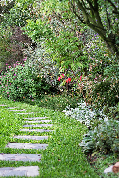 istock Stone pavement path in s shape in a lush foliage garden 172443453