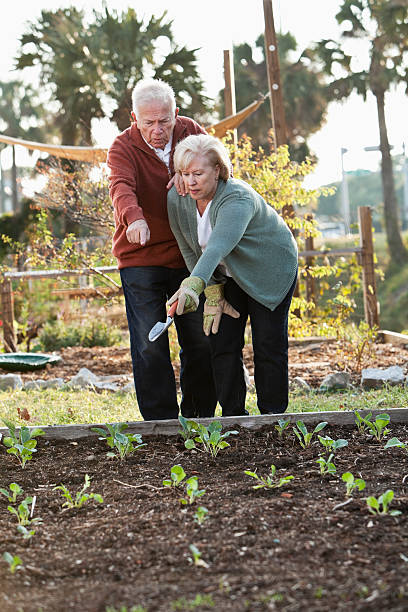 пенсионер работать в саду - sc0588 vertical full length outdoors стоковые фото и изображения