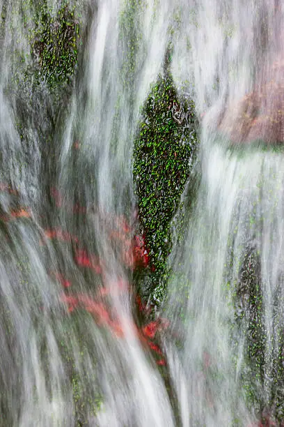 "Close-up of flowing water over wet moss, intended as nature background."