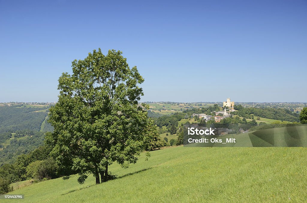 Estilo de la campiña francesa con el paisaje Phoebus el castillo - Foto de stock de Agricultura libre de derechos