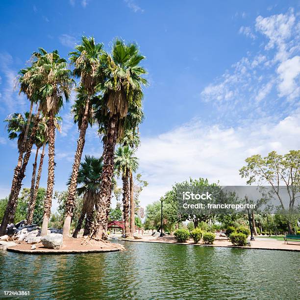 Photo libre de droit de Parc De Phoenix En Arizona banque d'images et plus d'images libres de droit de Arbre - Arbre, Arizona, Bleu