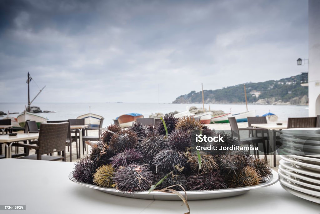 urchins al mar - Foto de stock de Mar Mediterráneo libre de derechos