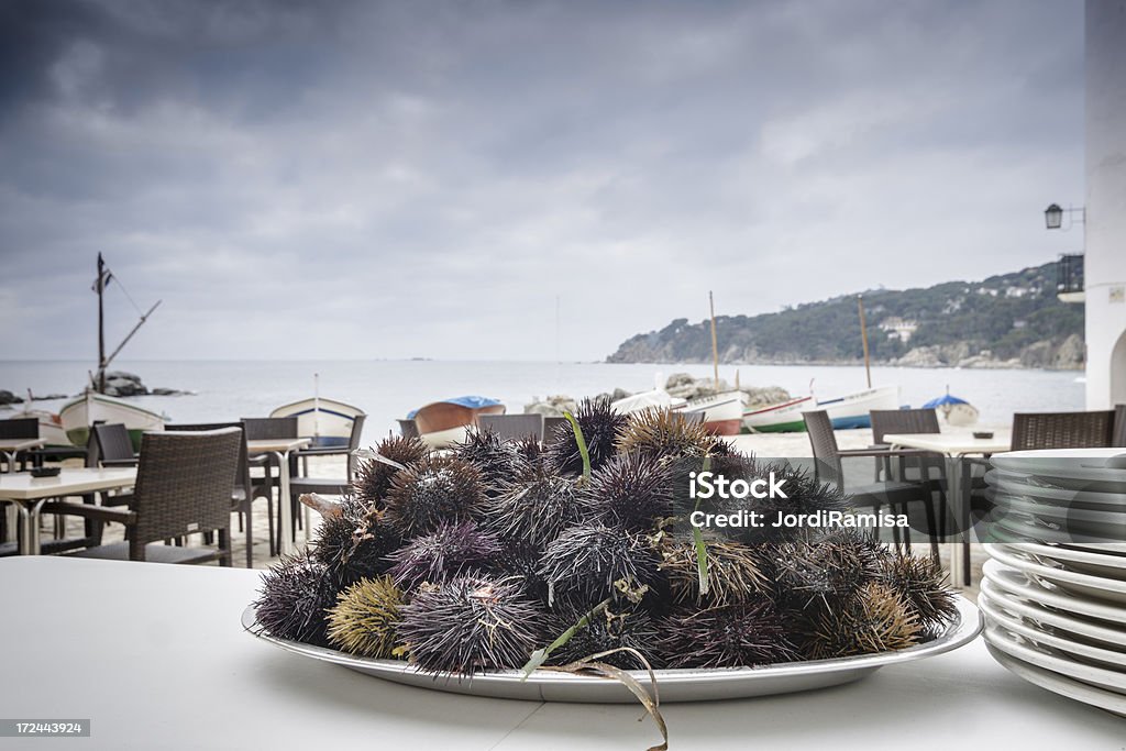 바다빛 urchins - 로열티 프리 레스토랑 스톡 사진