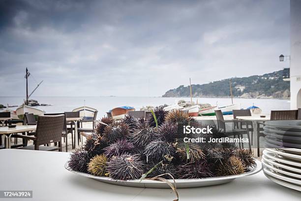 바다빛 Urchins 레스토랑에 대한 스톡 사진 및 기타 이미지 - 레스토랑, 지중해, 0명