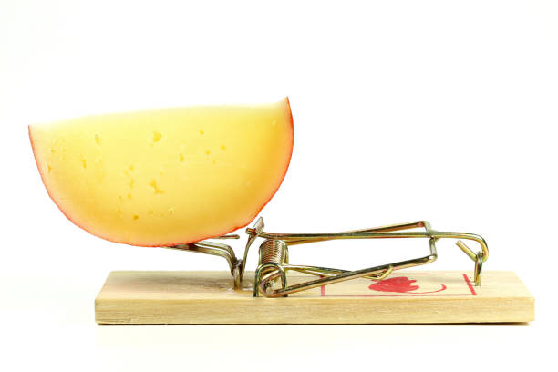 Loaded mousetrap with piece cheese on a pink background