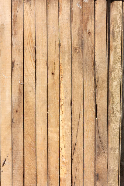 Rough cut timber wood background