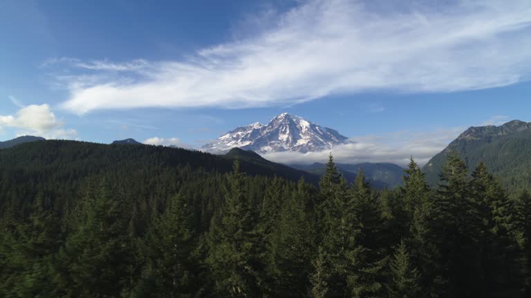 Aerial of Mount Rainier clear view through trees in national forest in summer with blue sky