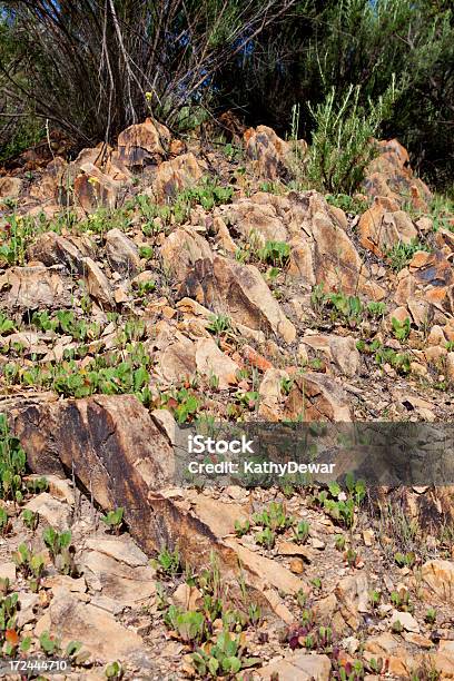 Foto de Relevo Montanhoso E Rochosas e mais fotos de stock de Colina - Colina, Deserto, Dia