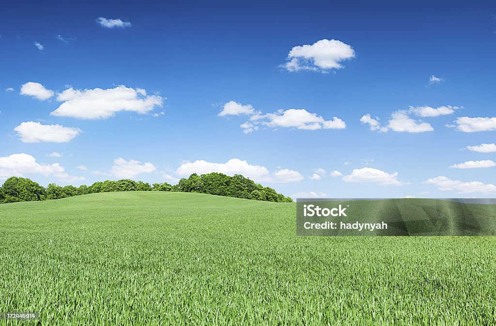 Панорамный весенний пейзаж 47MPix XXXXL-луг, голубое небо - Стоковые фото Без людей роялти-фри