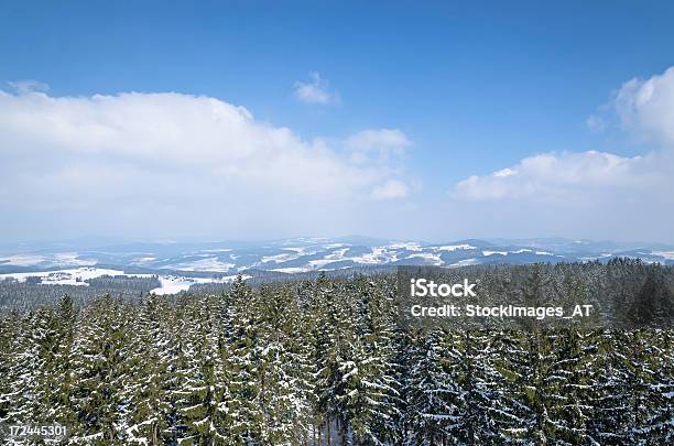Foto de Paisagem De Inverno Na Áustria e mais fotos de stock de Alta Áustria - Alta Áustria, Azul, Bosque - Floresta