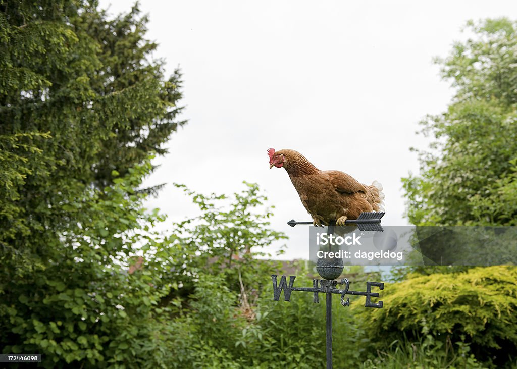 Vent de l'Ouest - Photo de Angleterre libre de droits