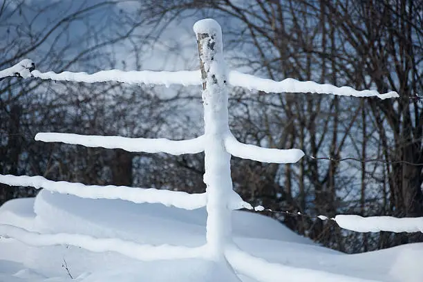 Snow covered fence just after blizzard