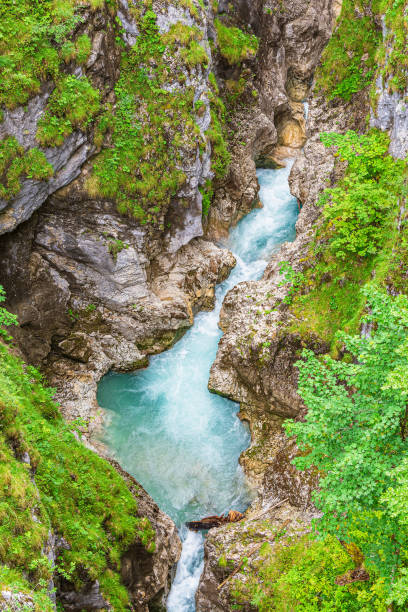 istock View into the gorge Leutaschklamm near Mittenwald, Germany 1724465389